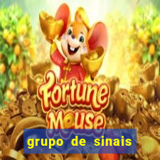 grupo de sinais fortune rabbit